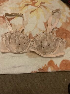 Floral Embroidered Sheer Underwire Bra in Blush
